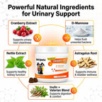120 Cranberry Supplement for Dogs - Bladder Control for Dogs - Urinary Tract Support - Vitamin B6 & L-Arginine - Cranberry Chews with D-Mannose - Immune & Gut Support