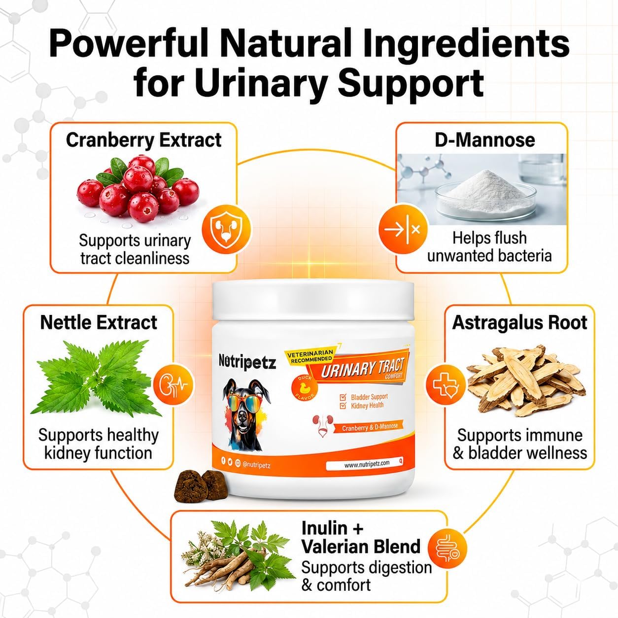 120 Cranberry Supplement for Dogs - Bladder Control for Dogs - Urinary Tract Support - Vitamin B6 & L-Arginine - Cranberry Chews with D-Mannose - Immune & Gut Support