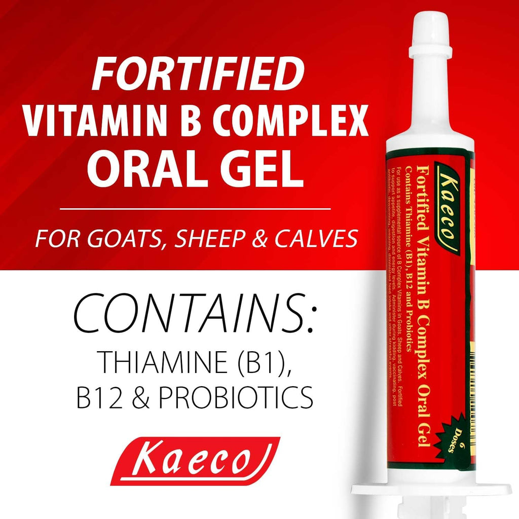 Gel Vitamínico B Complex 30 ml