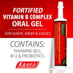 Gel Vitamínico B Complex 30 ml