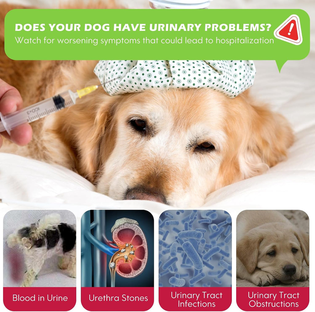 Xsvseie Gotas para Infección Urinaria en Perros - Suplemento Herbal Natural con Arándano para la Salud de la Vejiga