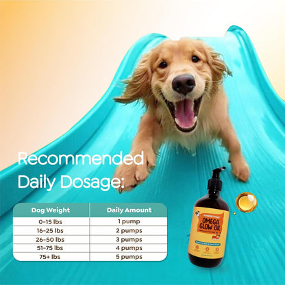 Omega-3-6-9 Oil para Perros - Sabor Natural – Sabor y olor: El aceite de BSF tiene un sabor natural que a los – Image 8