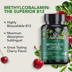 PlantFusion Vitamina B12 Metilcobalamina 1000 mcg - 60 Comprimidos Sublinguales Sabor Cereza
