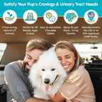 Wanderfound Pets Ultimate Cranberry – Apoyo para la vejiga e infecciones urinarias en perros – 90 comprimidos masticables sabor bacon e hígado