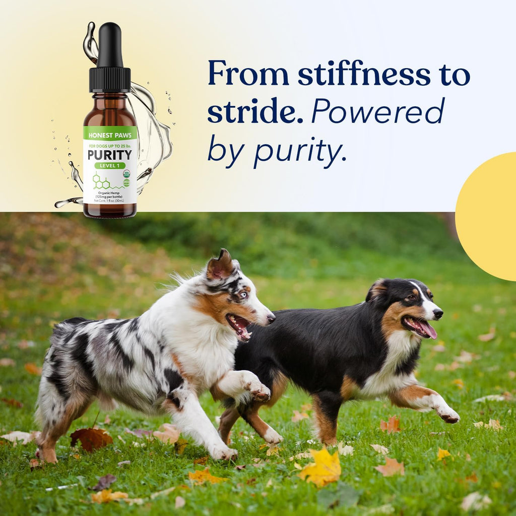 Aceite de Cáñamo para Perros - Gotas Calmantes de Aceite de Semilla de Cáñamo - Rico en Omega 3, 6 y 9