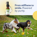 Aceite de Cáñamo para Perros - Gotas Calmantes de Aceite de Semilla de Cáñamo - Rico en Omega 3, 6 y 9