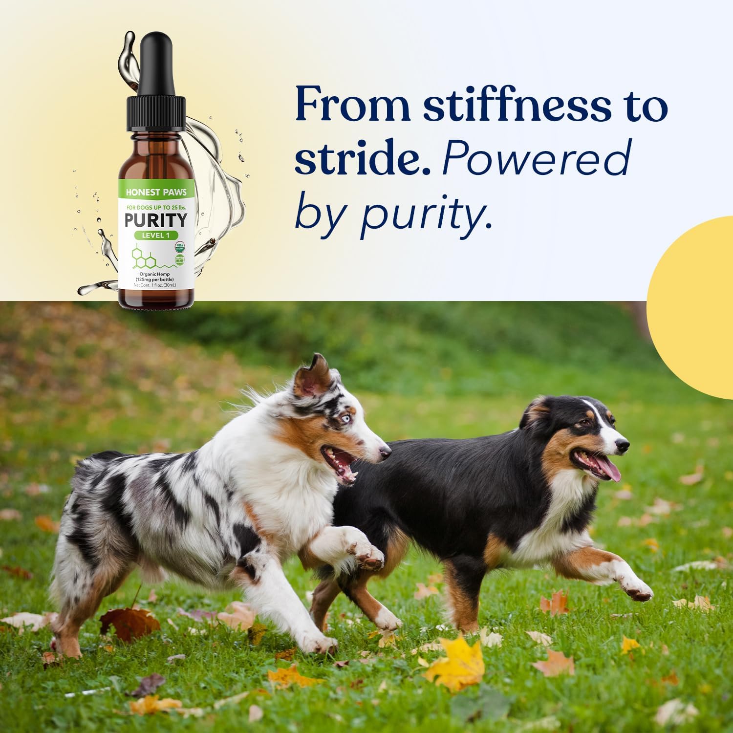 Aceite de Cáñamo para Perros - Gotas Calmantes de Aceite de Semilla de Cáñamo - Rico en Omega 3, 6 y 9