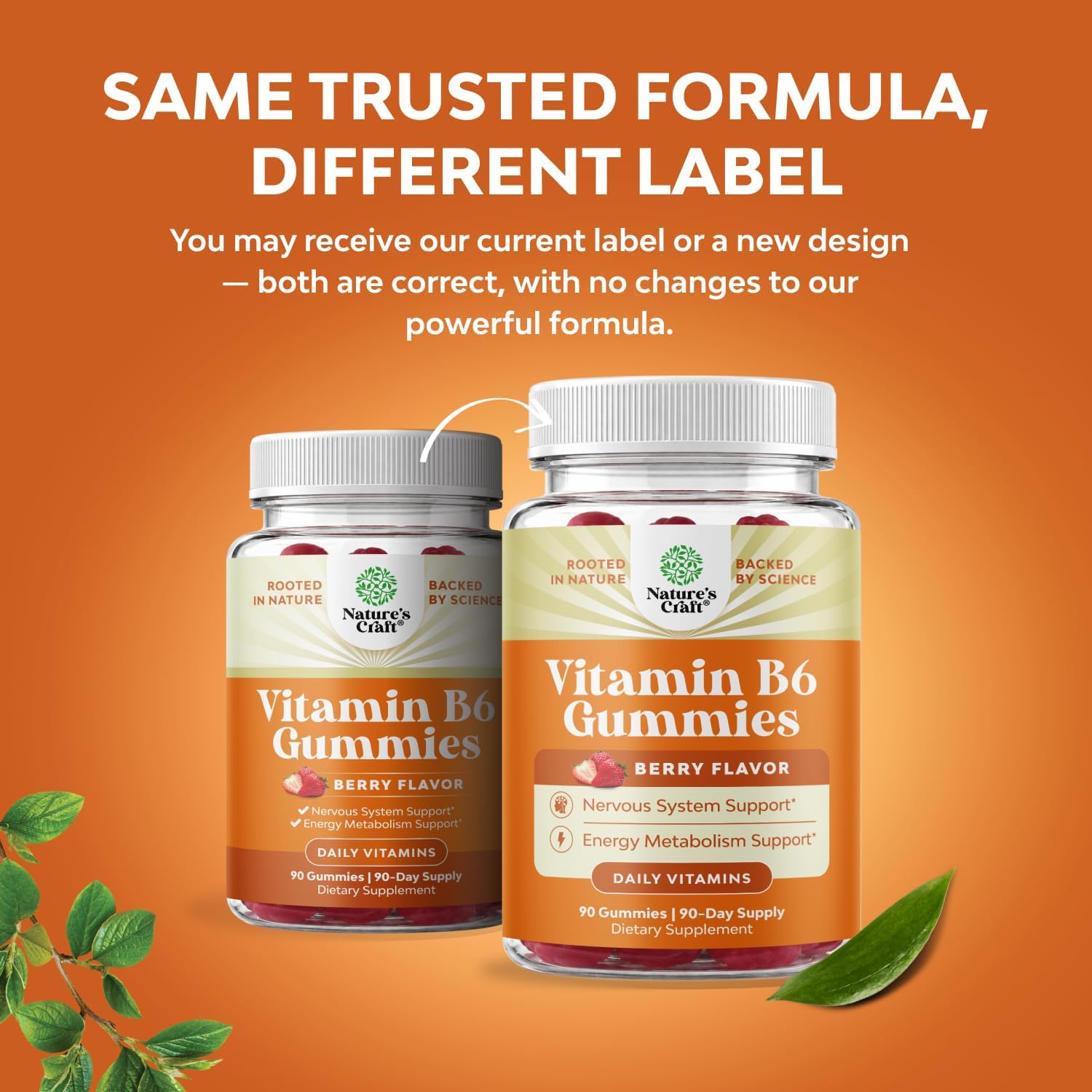 Gomitas de Vitamina B6 para Adultos - 50 mg por Ración - Apoyo Inmunológico, Nervioso y del Estado de Ánimo - 90 Gomitas