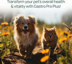 pawTree Gastro Pro Plus® Probióticos para Perros y Gatos - 60 comprimidos