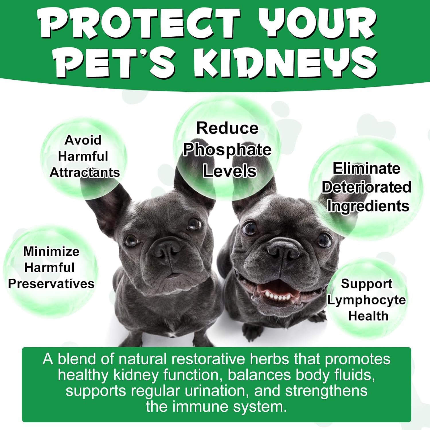 Onznoz Suplemento Renal para Perros - Apoyo Renal e Inmunidad - 60 ml