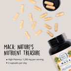 Maca Orgánica Gelatinizada 1200 mg – 120 Cápsulas (2 Meses)