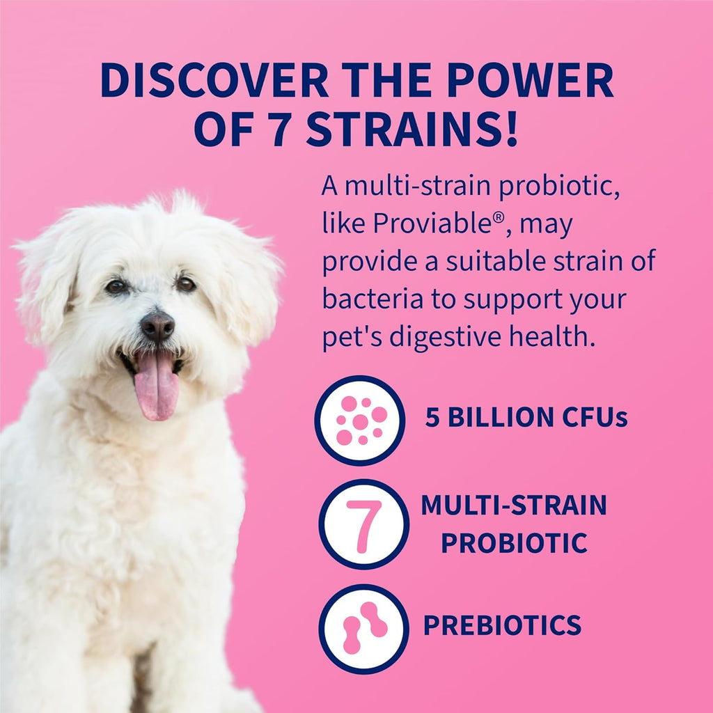 Nutramax Proviable Probióticos para Perros y Gatos, Suplemento Digestivo Diario con Múltiples Cepas Bacterianas, 30 Cápsulas