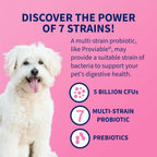 Nutramax Proviable Probióticos para Perros y Gatos, Suplemento Digestivo Diario con Múltiples Cepas Bacterianas, 30 Cápsulas