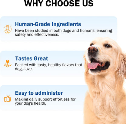 Zinc para Perros - Suplemento de Apoyo – Vitamina E (acetato de dl-alfa tocoferilo): protege las células del daño – Image 4