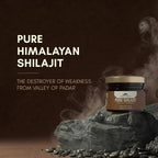 Rasayanam Shilajit Resina Pura del Himalaya (20g) - 80+ Minerales y 75% Ácido Fúlvico