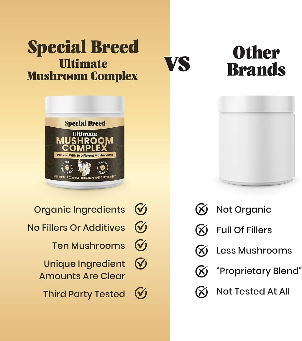Mushroom Powder for Dogs & Cats - Organic Mushroom Complex for Immune Support, Cognition, Vitality - Ten Mushroom Supplement with Turkey Tail, Lion's Mane, Reishi - 180 Scoops
