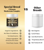 Mushroom Powder for Dogs & Cats - Organic Mushroom Complex for Immune Support, Cognition, Vitality - Ten Mushroom Supplement with Turkey Tail, Lion's Mane, Reishi - 180 Scoops