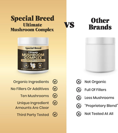Mushroom Powder for Dogs & Cats - Organic Mushroom Complex for Immune Support, Cognition, Vitality - Ten Mushroom Supplement – Image 4
