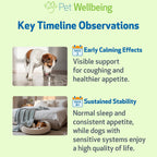 Pet Wellbeing Olmo Resbaladizo para Perros - Suplemento Digestivo y de Garganta - Extracto Orgánico de Hierba Única - Fórmula Líquida 59 ml
