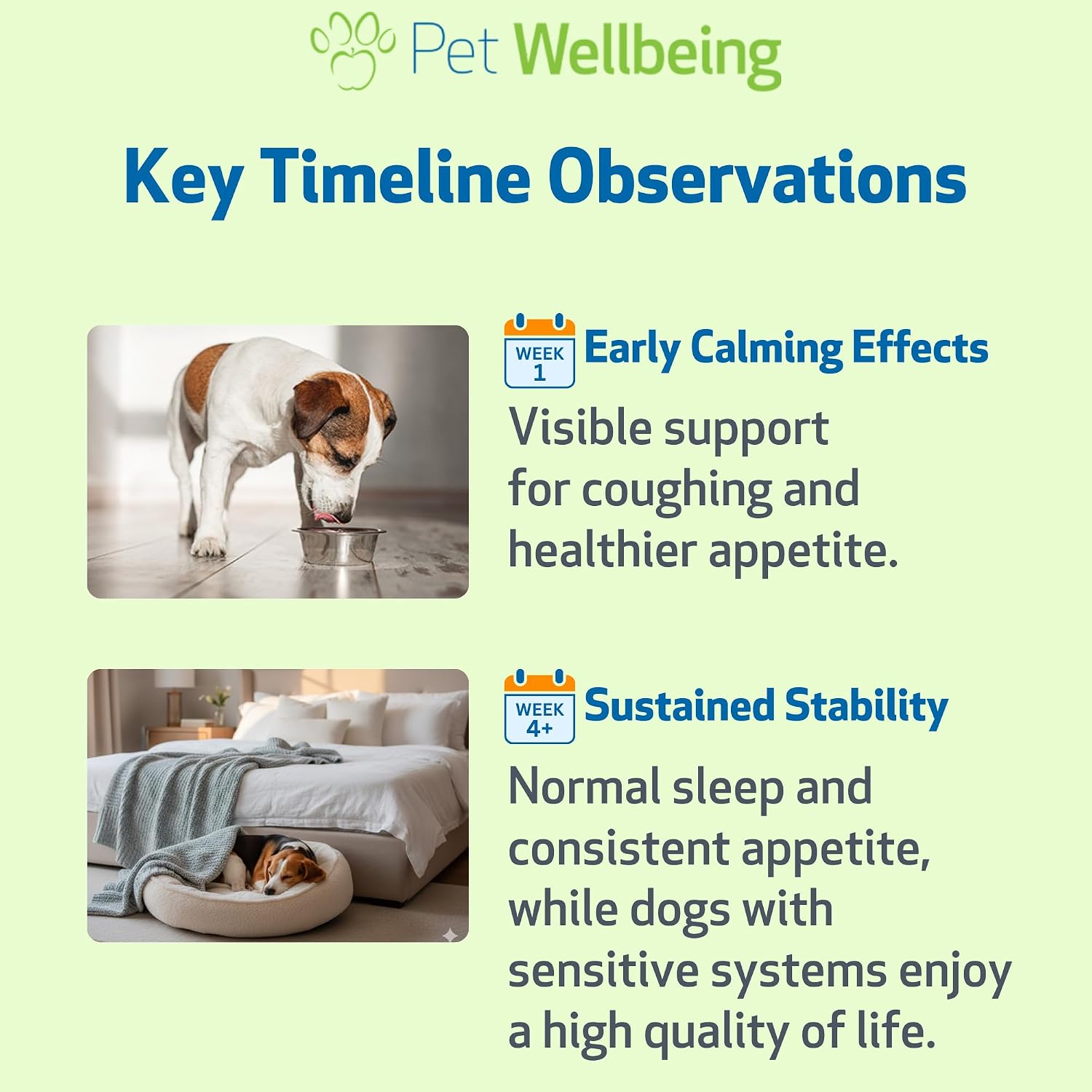 Pet Wellbeing Olmo Resbaladizo para Perros - Suplemento Digestivo y de Garganta - Extracto Orgánico de Hierba Única - Fórmula Líquida 59 ml