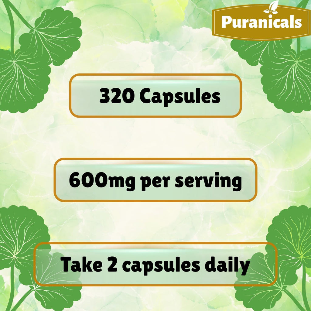 Gotu Kola Premium 320 Cápsulas No OGM y Sin Gluten | Suplemento Herbario | 600 mg Por Ración | Hecho con Polvo de Gotu Kola 100% Puro