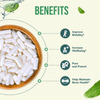 Healthy Way SAM-e 500 mg - S-Adenosil-L-Metionina - 90 Cápsulas