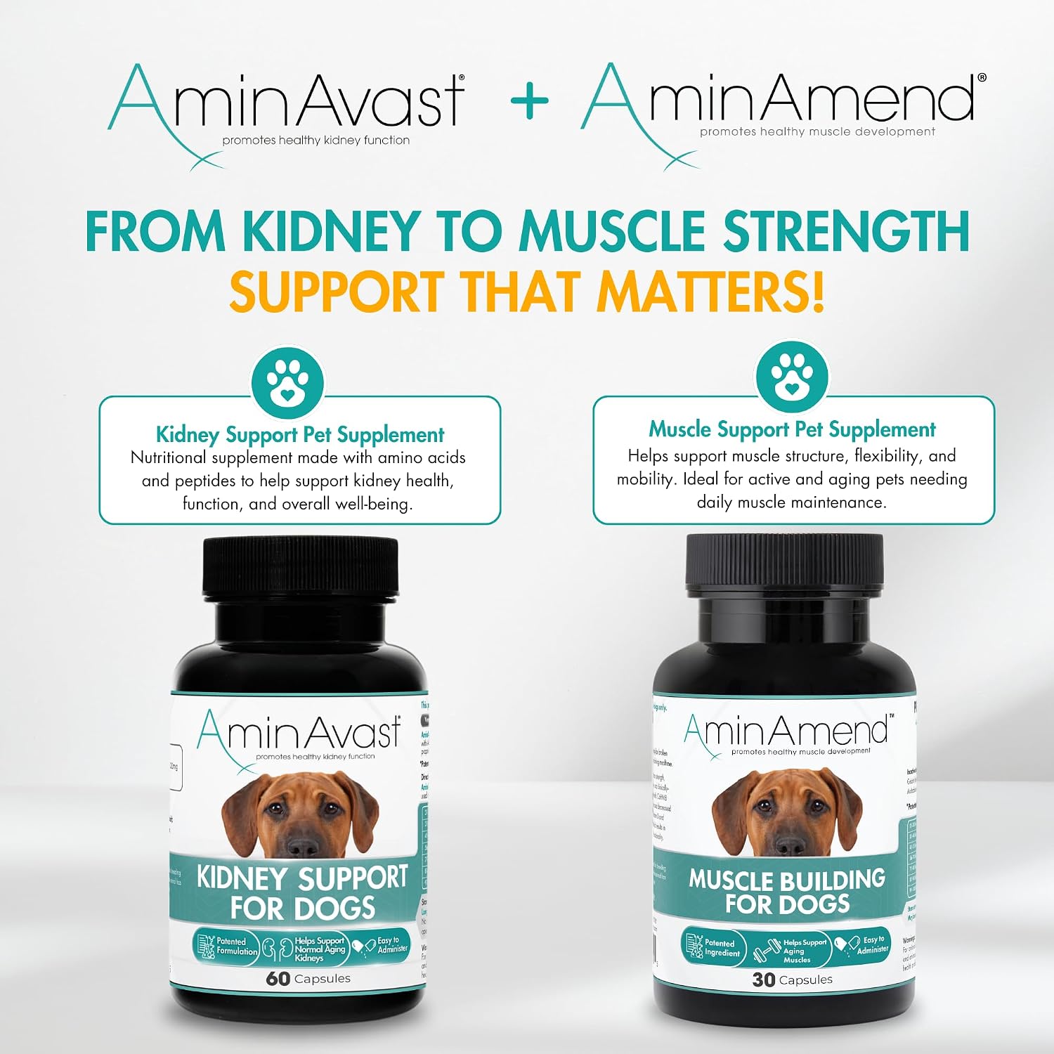 AminAmend Suplemento Muscular para Perros Grandes – CaHMB y Vitamina D3, 30 cápsulas