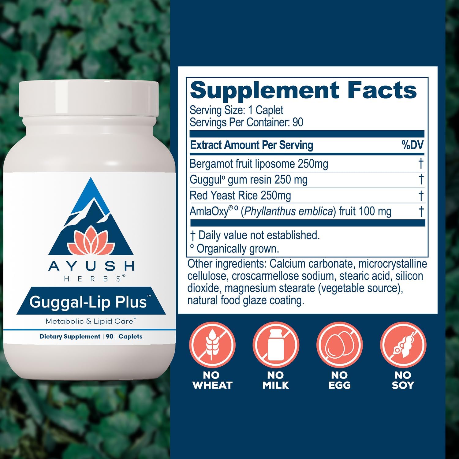 Ayush Herbs Guggal-Lip Plus - Suplemento Metabólico Ayurvédico - 90 Comprimidos
