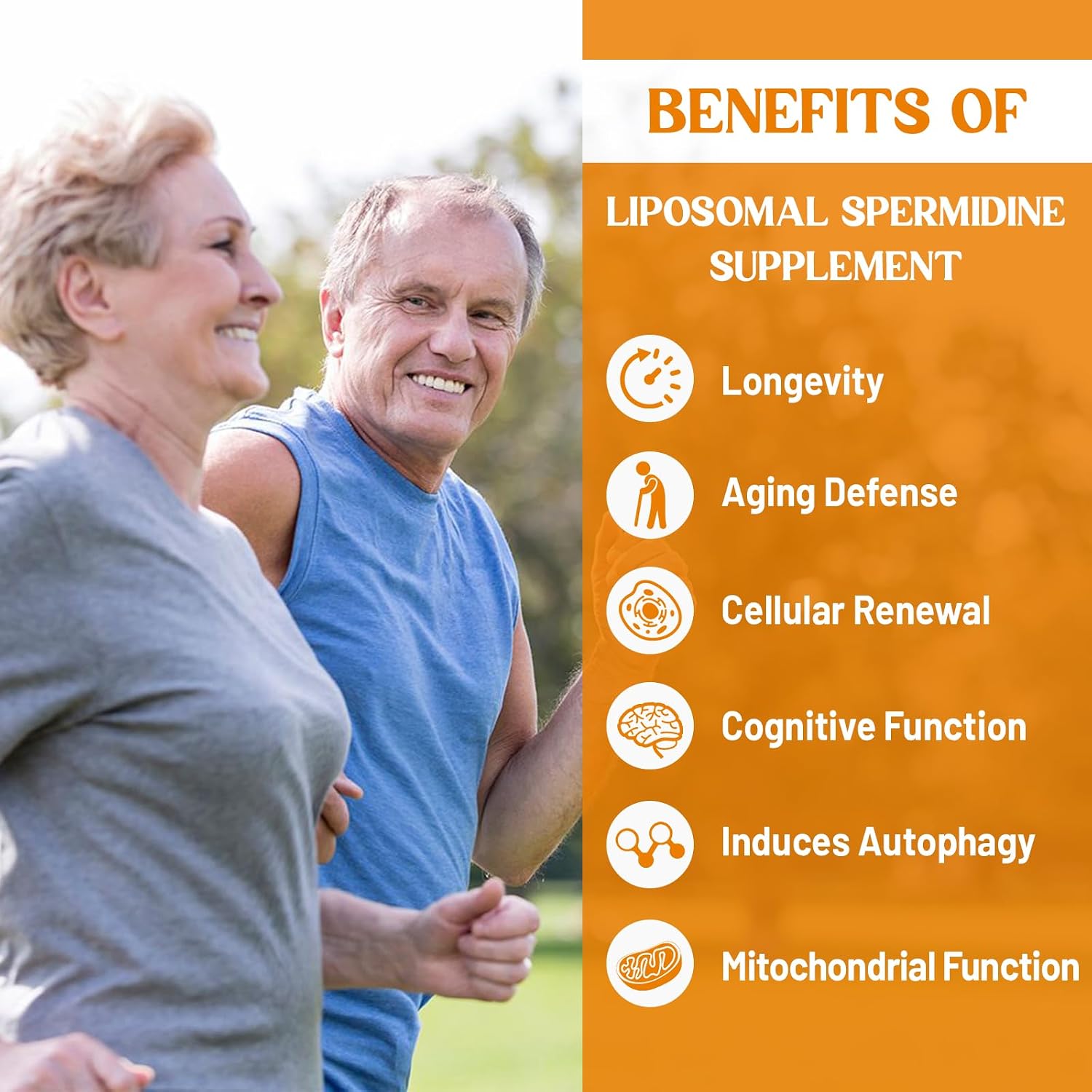 CORPORALIGHT Espermidina 30mg - Suplemento Liposomal de Alta Absorción con Zinc y Tiamina - 120 Cápsulas Blandas