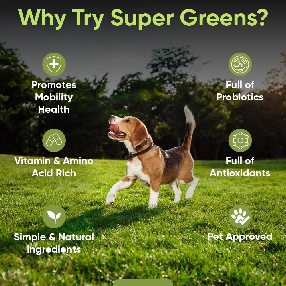 iHeartDogs Super Greens para Perros con Brotes de Brócoli y Espirulina - Polvo de Apoyo Inmunológico y Alergias Estacionales
