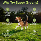 iHeartDogs Super Greens para Perros con Brotes de Brócoli y Espirulina - Polvo de Apoyo Inmunológico y Alergias Estacionales