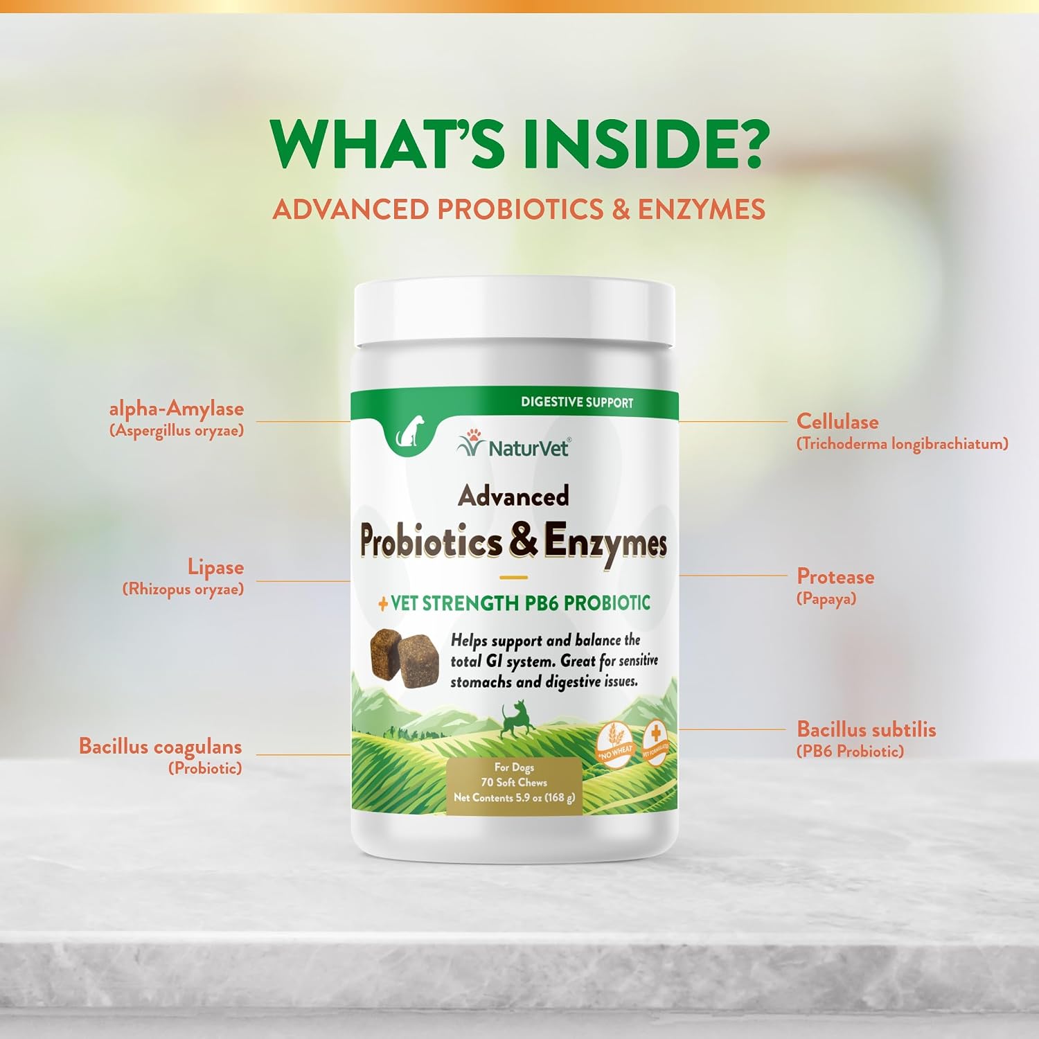NaturVet Probióticos y Enzimas Avanzados PB6 - Masticables Blandos para Perros - Sabor Bacon Ahumado - 70 Unidades