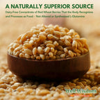 Glut Immune Polvo de Glutamina 300g - Well Wisdom
