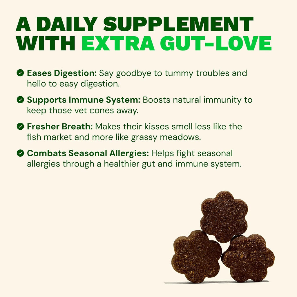 Get Joy Digestion Chews - Suplemento digestivo para perros con prebióticos, probióticos y posbióticos, 90 masticables