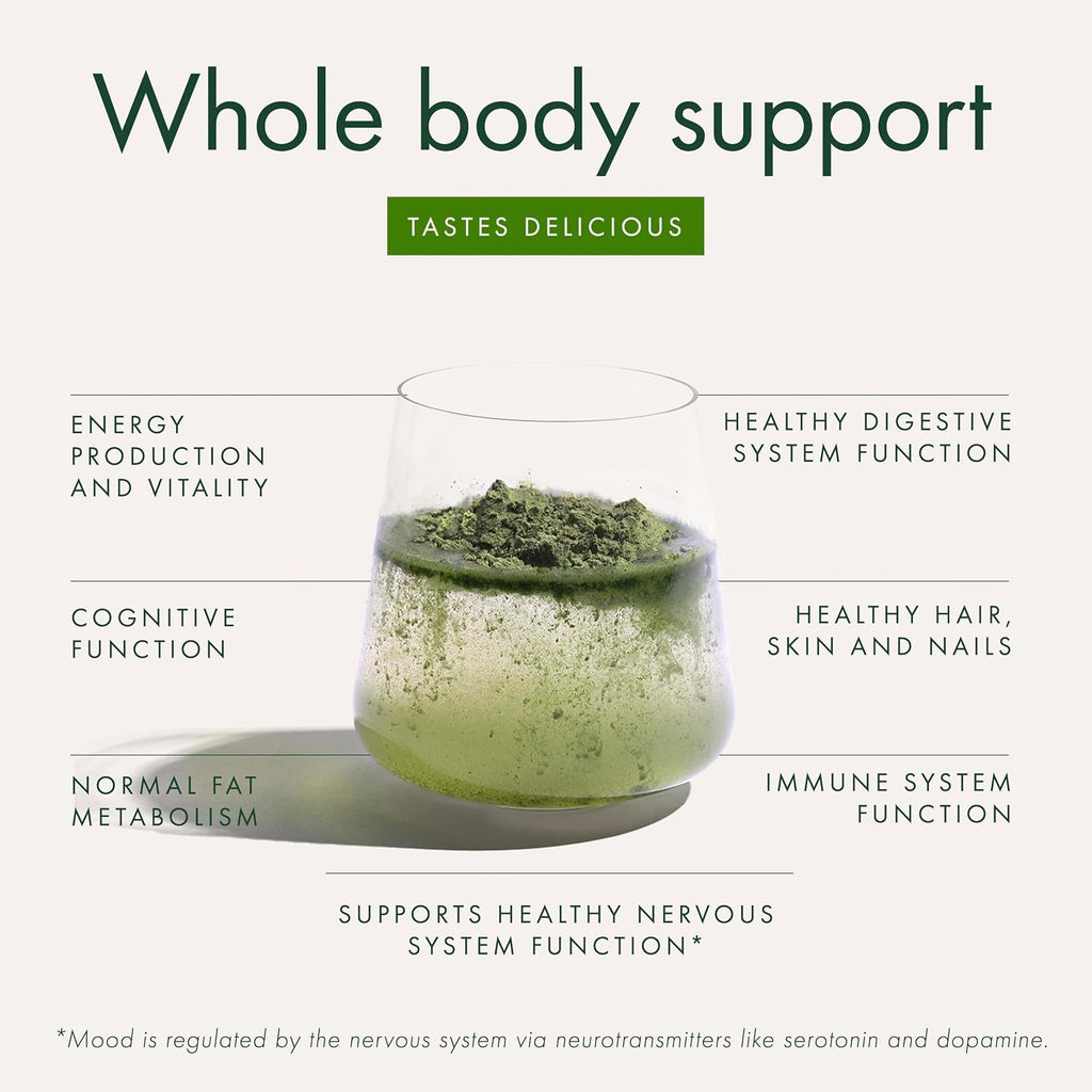 WelleCo The Super Elixir Daily Greens Powder - Mezcla de Superalimentos con Probióticos (Piña y Lima)