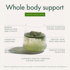 WelleCo The Super Elixir Daily Greens Powder - Mezcla de Superalimentos con Probióticos (Piña y Lima)