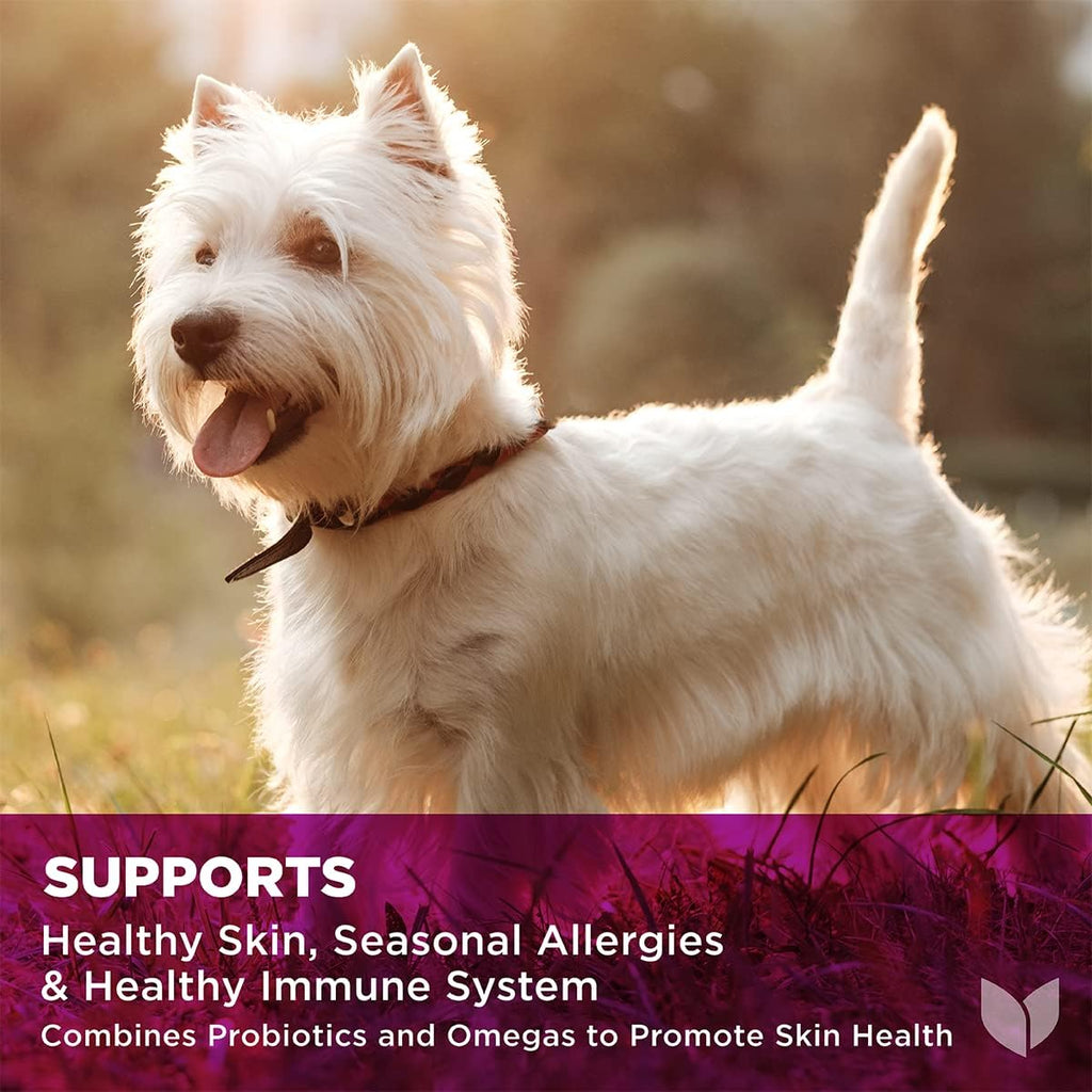 Hyland's Naturals - Pro Skin Health for Dogs, 90 Soft Chews