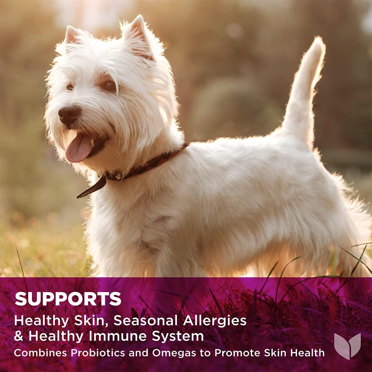 Hyland's Naturals - Pro Skin Health for Dogs, 90 Soft Chews