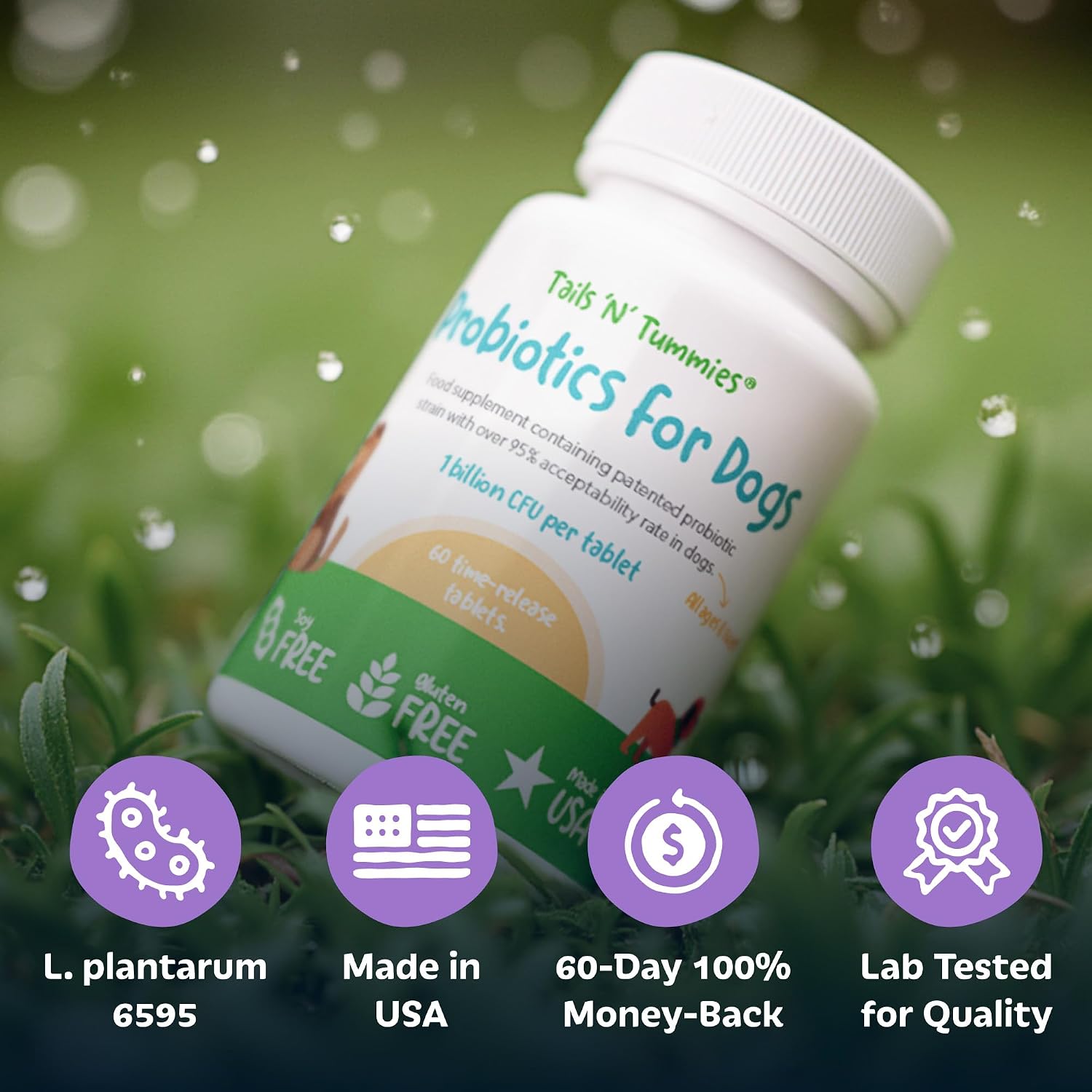 Tails 'N' Tummies Probióticos para Perros - 60 Tabletas para Alergias, Picazón y Salud Digestiva
