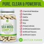 Antler Farms – Complejo de Musgo Marino Puro 130 Cápsulas – Musgo Irlandés Silvestre, Bladderwrack y Raíz de Bardana – Mezcla Potente para el Bienestar, Vegano, Sin Gluten, Soja ni Lácteos