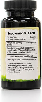 Herbal C Capsule — Vitamin C Supplement with Antioxidants and Immune System Support — 100 Capsules