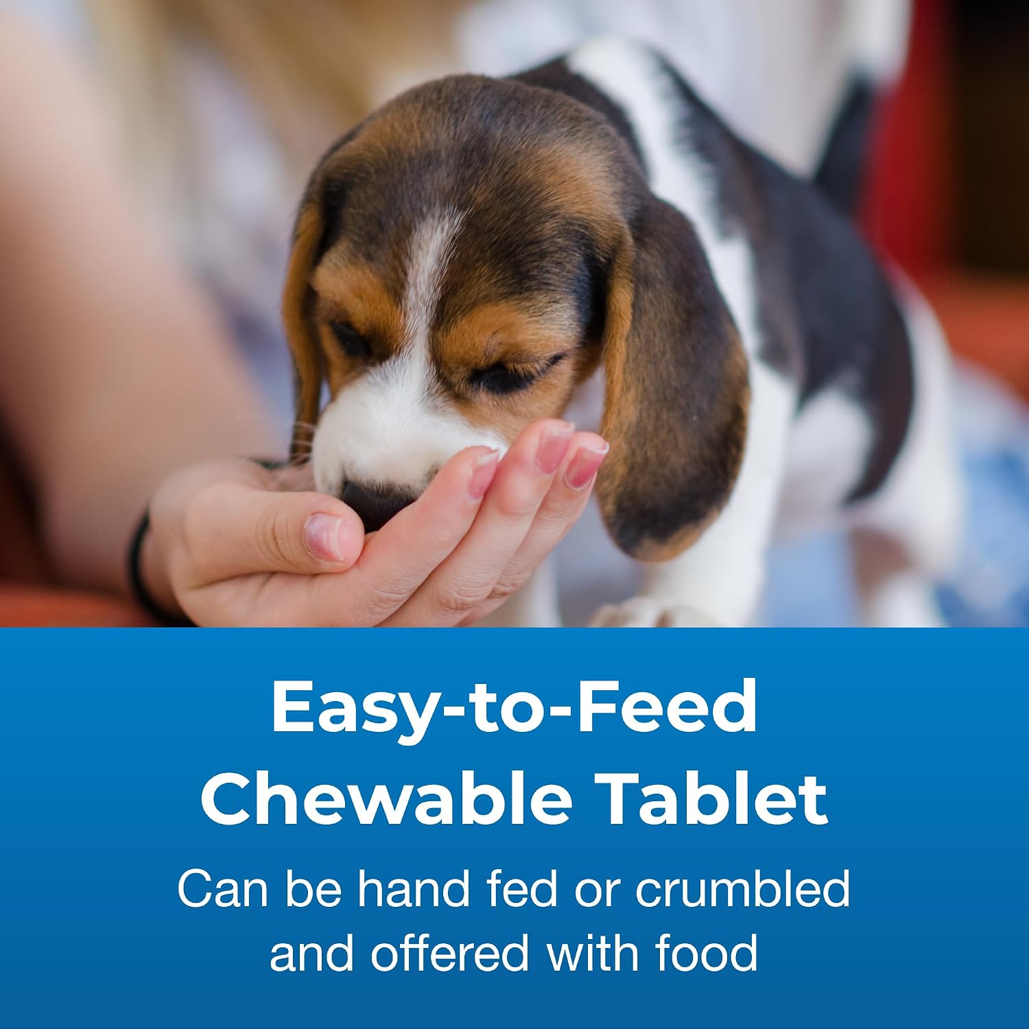 PetAg Calcium Phosphorus Tablets - 50 Tablets - Daily Chewable Supplement for Dogs and Cats Over 12 Weeks - Fortified with Vitamin D