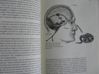Inteligencia emocional: por qué puede importar más que el coeficiente intelectual