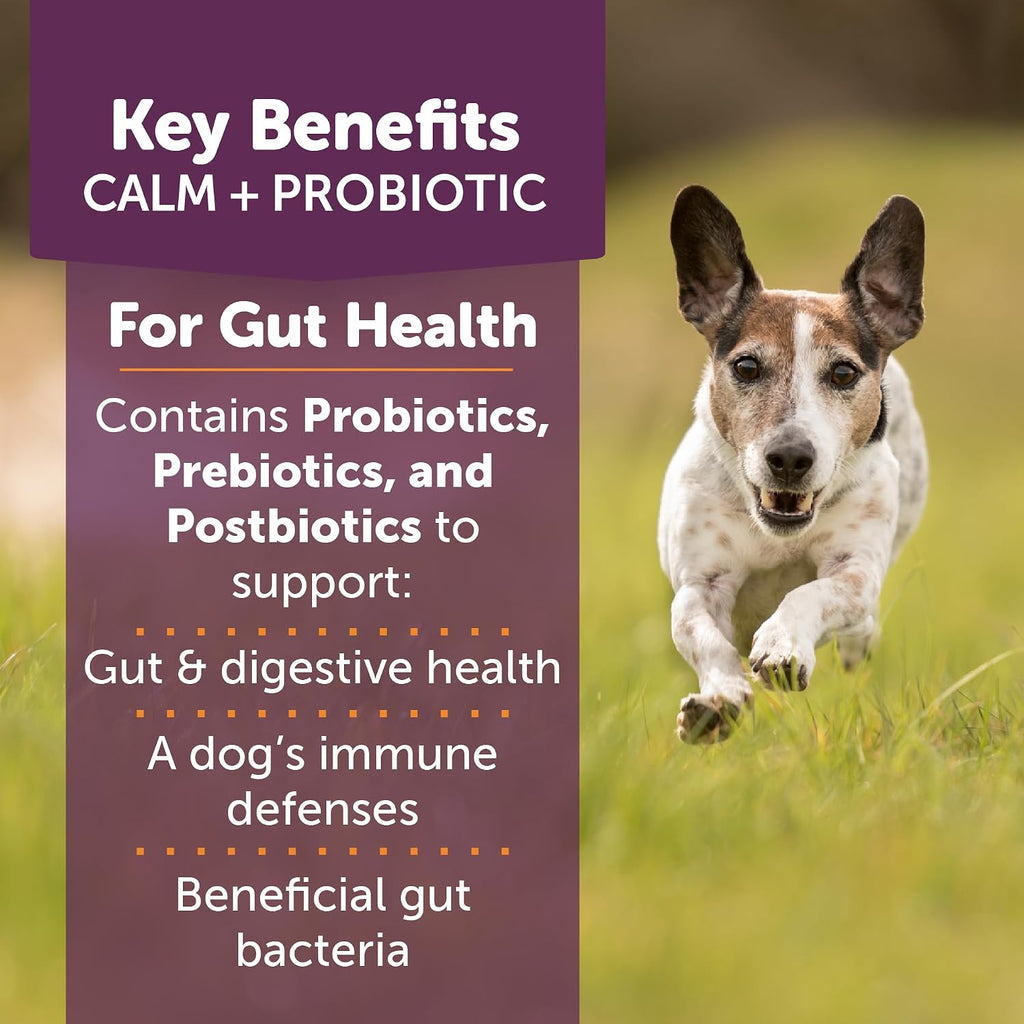 ThunderBites Calm + Probiotics para Perros - Masticables Suaves con Probióticos, Prebióticos y Postbióticos + Apoyo para el Estrés Diario, 90 unidades
