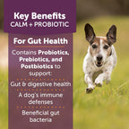 ThunderBites Calm + Probiotics para Perros - Masticables Suaves con Probióticos, Prebióticos y Postbióticos + Apoyo para el Estrés Diario, 90 unidades
