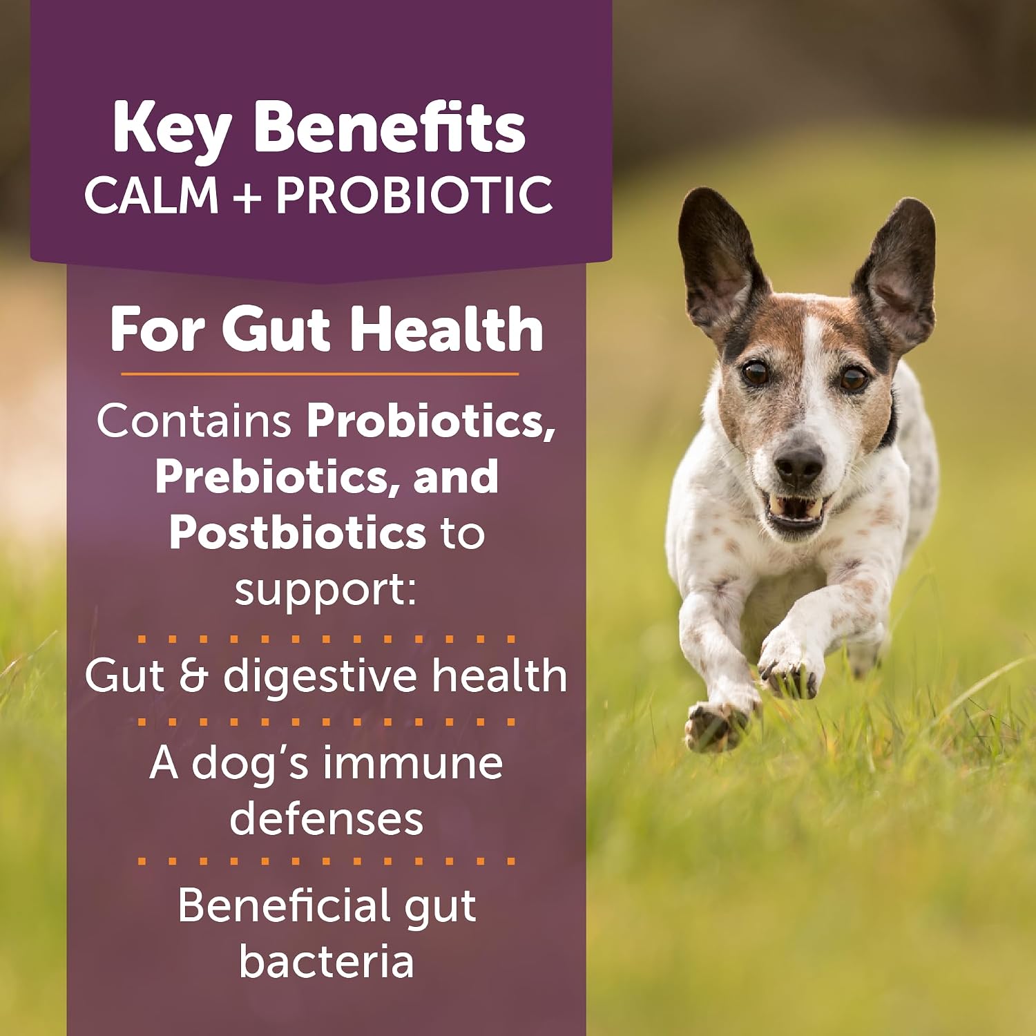ThunderBites Calm + Probiotics para Perros - Masticables Suaves con Probióticos, Prebióticos y Postbióticos + Apoyo para el Estrés Diario, 90 unidades