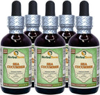Sea Cucumber (Cucumaria Frondosa) Glicerita, Extracto Líquido Sin Alcohol 60 ml