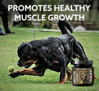 Predator Muscle Builder para Perros – Suplemento Canino para Masa Muscular – 60 comprimidos