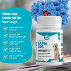Pawsitive SAMe 100 mg para Perros – Complemento Hepático con S-Adenosilmetionina – Sabor a Bacon – 30 Comprimibles