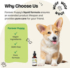 Gotas de Manzanilla para Perros - Extracto Líquido para el Alivio de Gases y Apoyo Digestivo - 60 ml